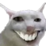 DX