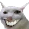XD