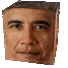 MAObamaCube