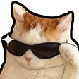 TTECoolKitty