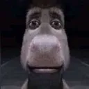 pain