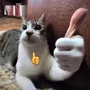 Thumbup