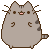 5712pusheenbounce