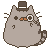 4486fancypusheen