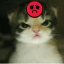 kittyangry
