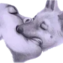 kysenryu