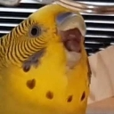 chirpscrem Discord emoji