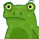 shetfrog_confused Discord Emoji