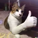 splendidBUTinANIME