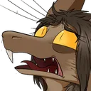 whyyy2