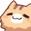 Gato Gato