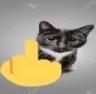 CatFuckU