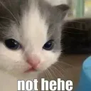 Not Hehe not_hehe Discord Emoji