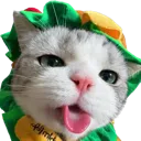 bleh