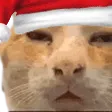 ayyybuHUHX ayyybuHUHX