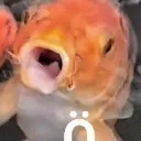 Fishpog fishpog Discord Emoji