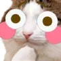 hoump
