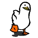 waddle waddle