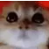 RAGEY RAGEY