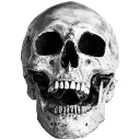 SkullFace