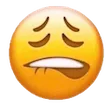 ChiefBite