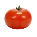Tomat Tomat