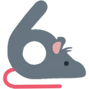 rat_6