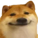 smiledog