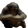 925834002718400572