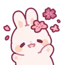 bunnycute