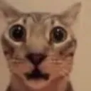bcatshock Discord Emoji