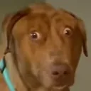 im