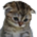 _sadcat Discord emoji