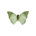 tumblr_d6d693c0cffd9e8ab0bd2336d