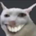 chamfish