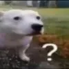 question