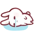 dilyacry