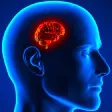 5small_brain17