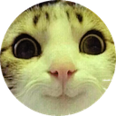 FunnyCat Discord emoji