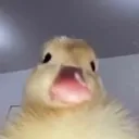 7wtf