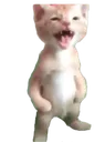 michaelscream