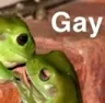 Gayfrog Discord Emoji