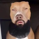 drakedog