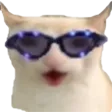 CatChest