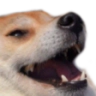 doggy Discord Emoji from Midnight Secret Club