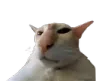 guh