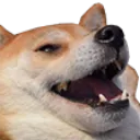 emote_DoggoLaugh