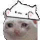 4338catbongo