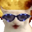 CATCHESTING
