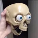 skelly
